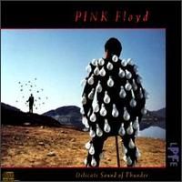Pink Floyd - Delicate Sound of Thunder