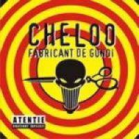 Cheloo - Fabricant de gunoi