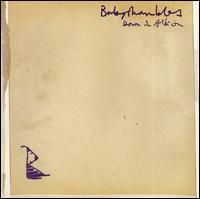 Babyshambles - Down in Albion