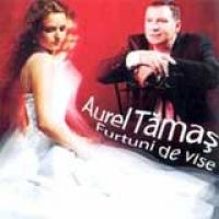 Aurel Tamas - Furtuni de vise