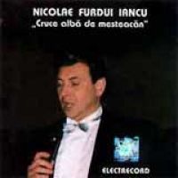 Nicolae Furdui Iancu - Cruce alba de mesteacan