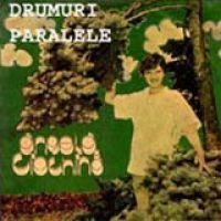 Victor Socaciu - Drumuri Paralele