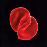 Peter Gabriel - Scratch my back