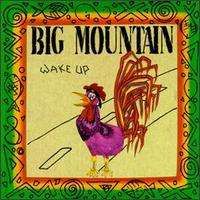 Big Mountain - Wake Up