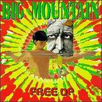 Big Mountain - Free Up