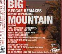 Big Mountain - Reggae Remakes: Covers in Paradise