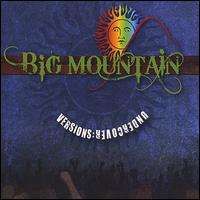 Big Mountain - Versions Undercover