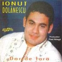 Ionut Dolanescu - Dor de tara