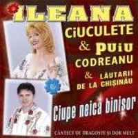 Ileana Ciuculete - Ciupe neica binisor