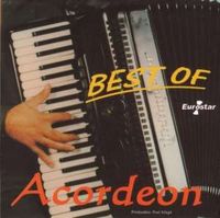 Muzica artisti celebri - Best of Accordion