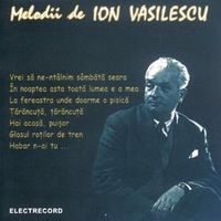Muzica artisti celebri - Melodii de Ion Vasilescu