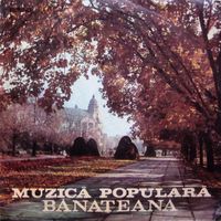 Muzica artisti celebri - Muzica Populara Banateana
