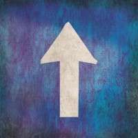 Proconsul - Sens unic