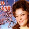 Nu e bine niciodata ( cu Ion Dolanescu)