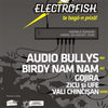 Apa e gratis la concertul Audio Bullys si Birdy Nam Nam