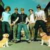 Never Miss A Beat, nou videoclip Kaiser Chiefs