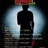 Preselectie Stufstock 6: concerte Shihaya, Les Elephants Bizzares, Go To Berlin