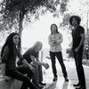 Fanclub Alice in Chains