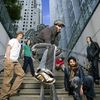 The Cat Empire