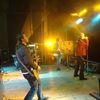 Bere Gratis - concert