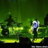 Roisin Murphy