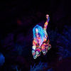 Kesha, filmari videoclip Your Love Is My Drug