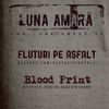 Concert Luna Amara in Cluj Napoca