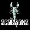 Scorpions, in Romania?