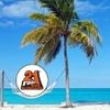 Programul Radio 21 de vacanta