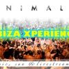 Animal X inregistreaza noul album in Ibiza