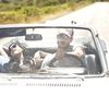 Katy Perry, scene traumatizante de sex pentru Teenage Dream (video)