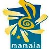 Festivalul Mamaia 2010, gratis la orice televiziune
