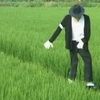 Michael Jackson a ajuns sperietoare de ciori (video)