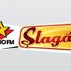 ProFM lanseaza ProFM Slagar