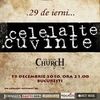Concert Celelalte Cuvinte: 29 de ierni
