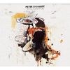 Albumul lui Pete Doherty poate fi ascultat online (GRATIS)