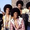 Familia Jackson planuieste un turneu tribut in memoria Regelui muzicii pop