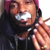 Snoop Dogg a fumat marijuana in timpul unui concert