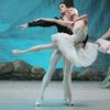 'Lacul Lebedelor': O feerie pe scena Salii Palatului, un spectacol original