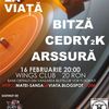 Concert caritabil 'Matei - Sansa la viata' cu Bitza, Cedry2k si Arssura in Wings Club