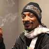 Snoop Dogg lanseaza un site dedicat marijuanei 