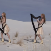  Asculta "Enter Sandman" reinterpretata la harpa (video)