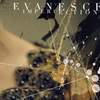 Evanescence au lansat single-ul "Imperfection" (audio)
 