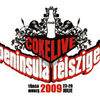 Programul concertelor CokeLive Peninsula a fost finalizat