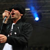 The Charlatans