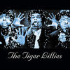 Tiger Lillies