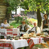 Gheorghe Dinica, filmari Aniela