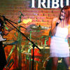 Dalma - Lansare album, Club Tribute, Noiembrie 2009