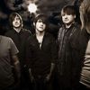 Framing Hanley 