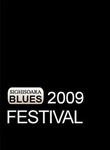 Sighisoara Blues Festival 2009